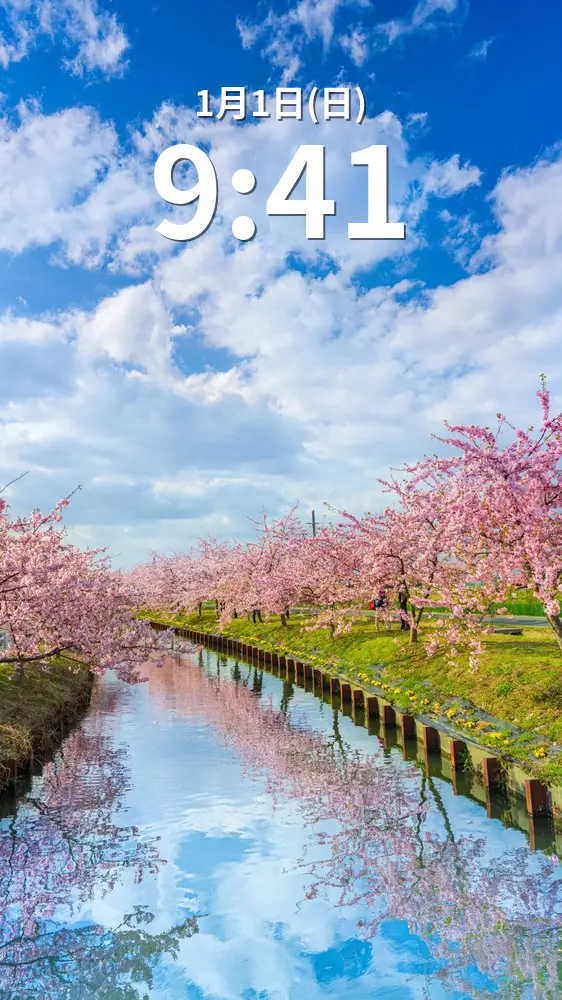 無料スマホ壁紙 ウユニ笠松。AndroidとiPhoneに対応した4K高画質の無料待ち受け画像。三重県松阪市の笠松河津桜ロードで撮影したフリー写真素材