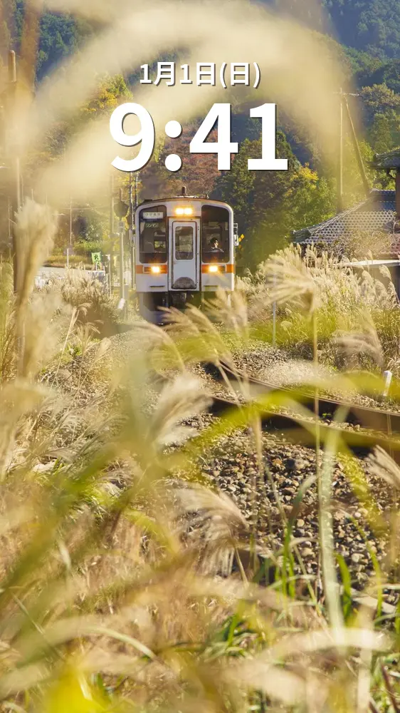 無料スマホ壁紙 伊勢奥津のススキ。AndroidとiPhoneに対応した4K高画質の無料待ち受け画像。三重県鉄道の名松線で撮影したフリー写真素材