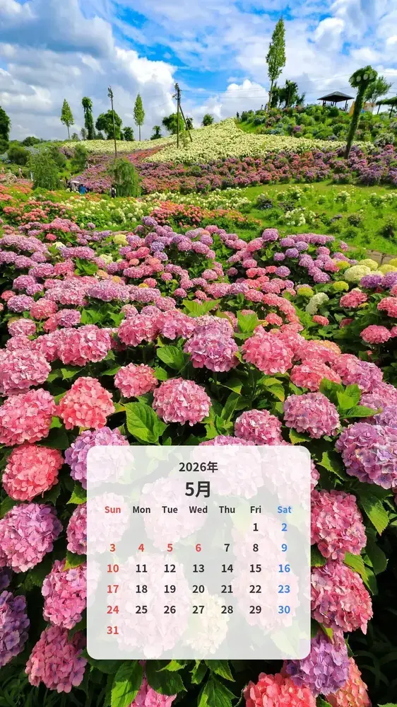 紫陽花の花園 カレンダー壁紙