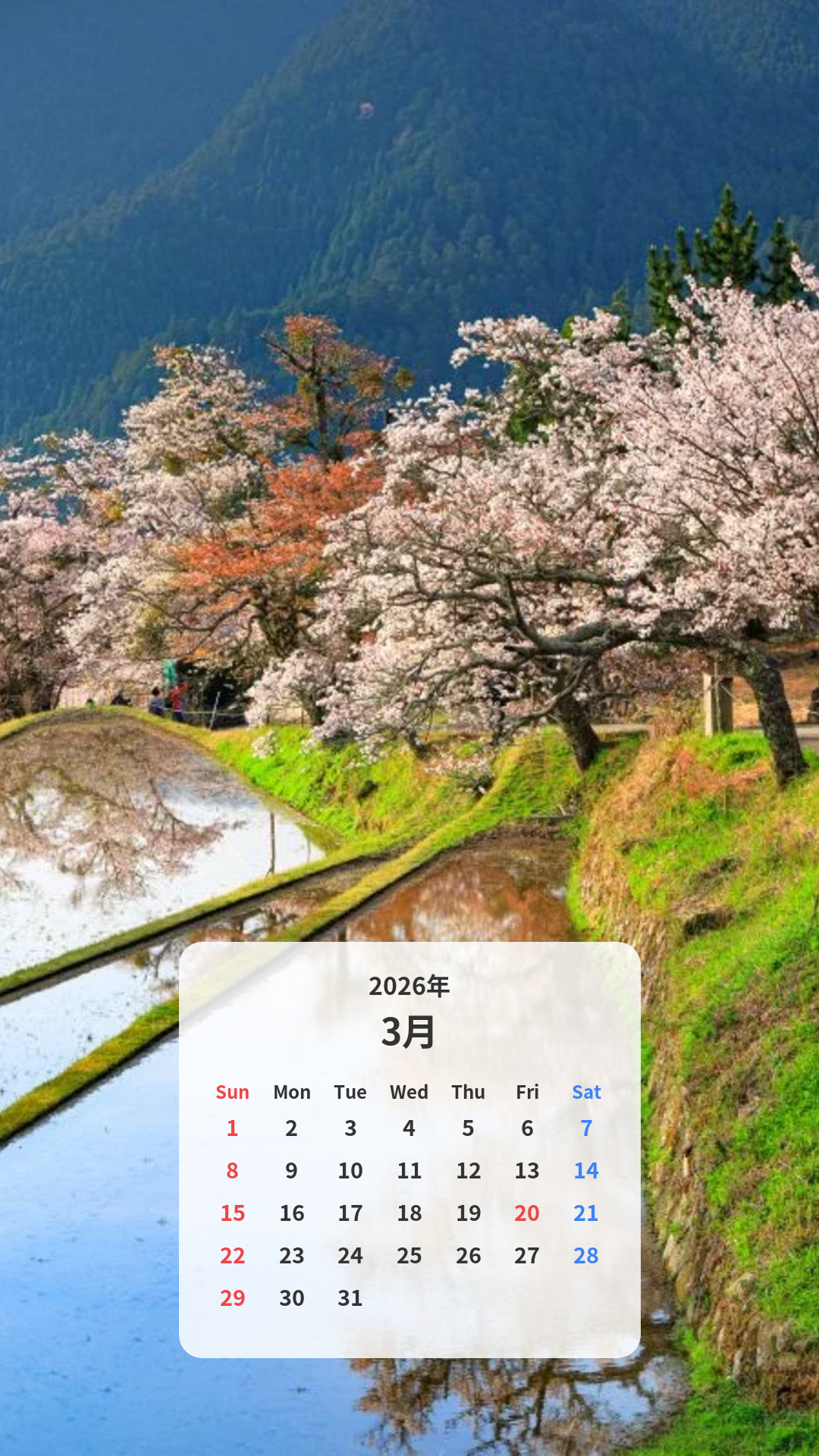 棚田の山桜並木 カレンダー壁紙