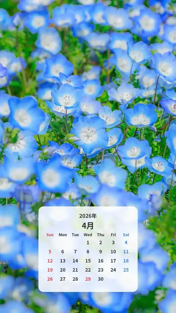 ネモフィラのじゅうたんのカレンダー壁紙