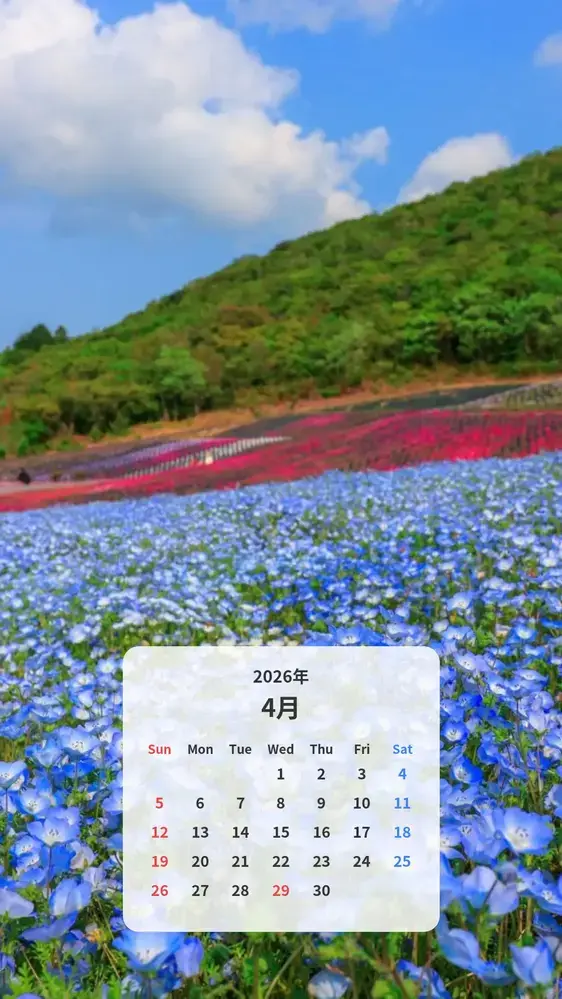 ネモフィラ畑と芝桜の共演 カレンダー壁紙