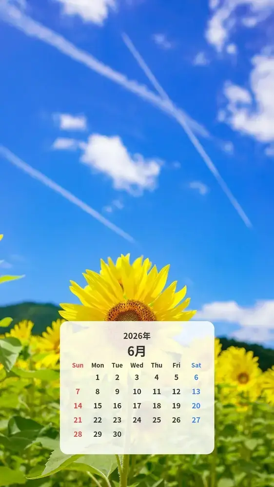 一輪のひまわりと飛行機雲 カレンダー壁紙
