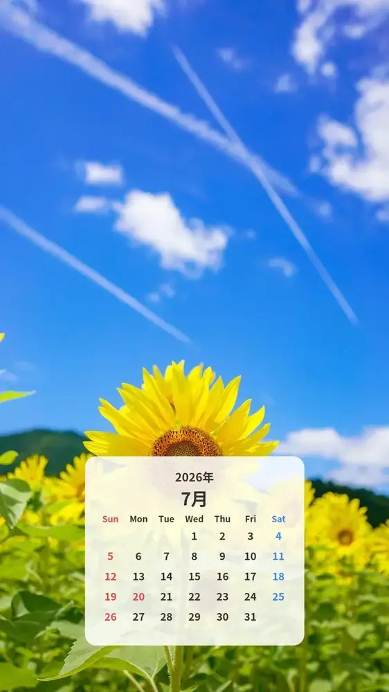 一輪のひまわりと飛行機雲のカレンダー壁紙