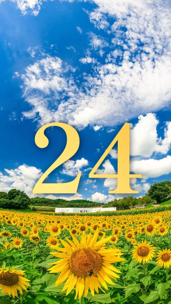 夏空のひまわり畑 開運壁紙