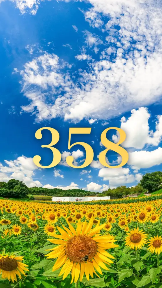 夏空のひまわり畑の開運数字壁紙