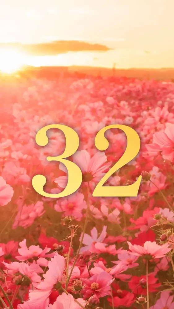 エモい西陽とコスモス 開運壁紙