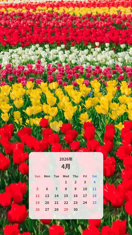 色とりどりのチューリップのカレンダー壁紙