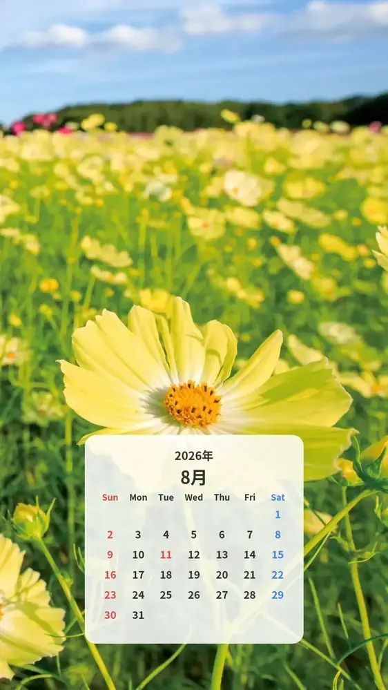 幸せを呼ぶ黄色いコスモスのカレンダー壁紙