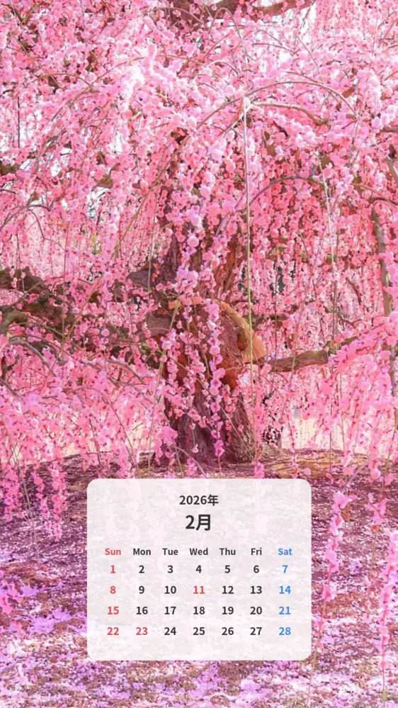 しだれ梅のシャンデリア カレンダー壁紙