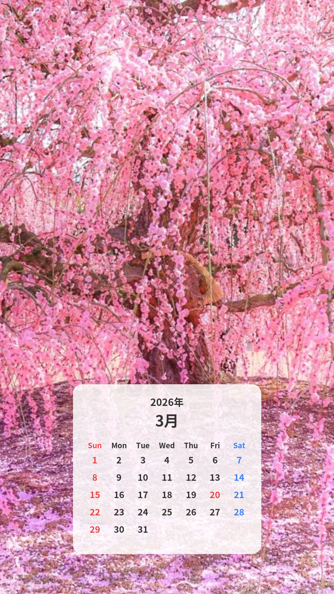 しだれ梅のシャンデリア カレンダー壁紙