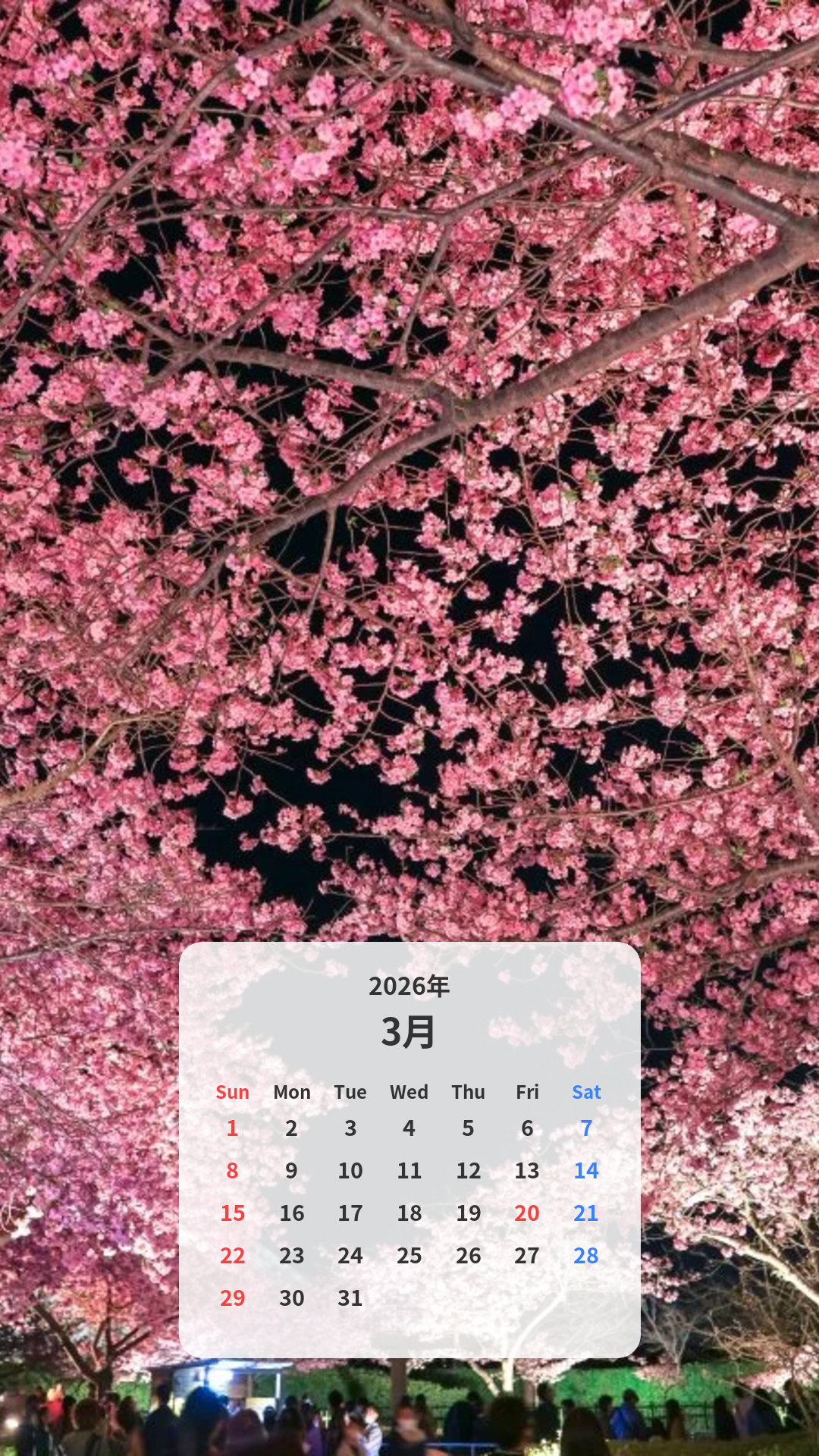 ハートの桜と夜桜ライトアップ カレンダー壁紙