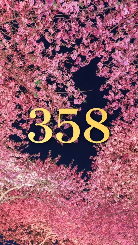 ハートの夜桜 開運壁紙