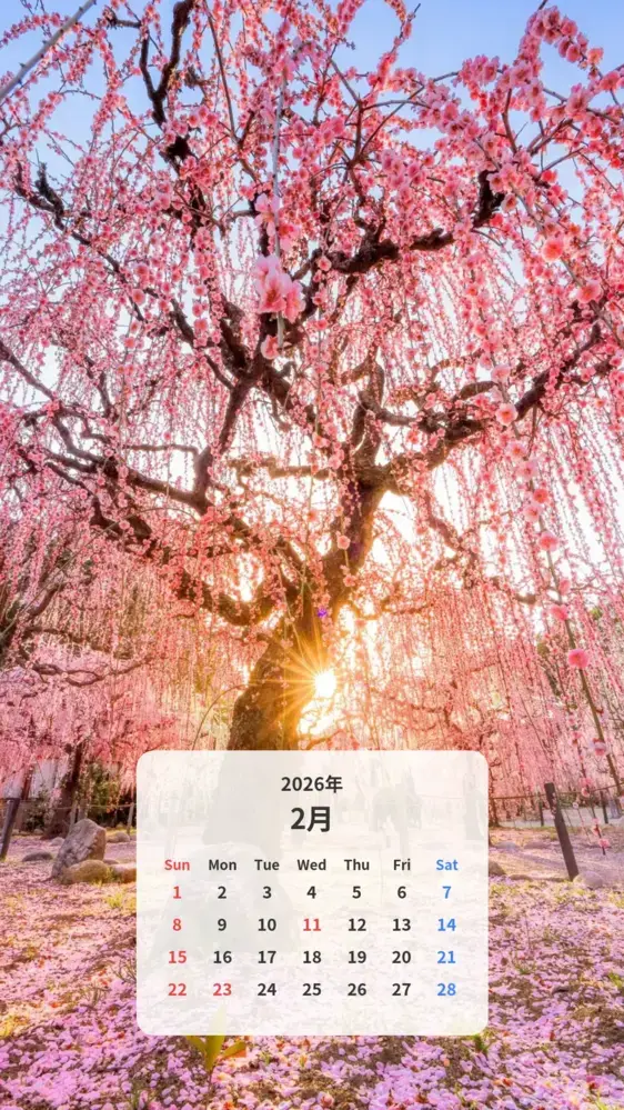 しだれ梅の絶景 カレンダー壁紙