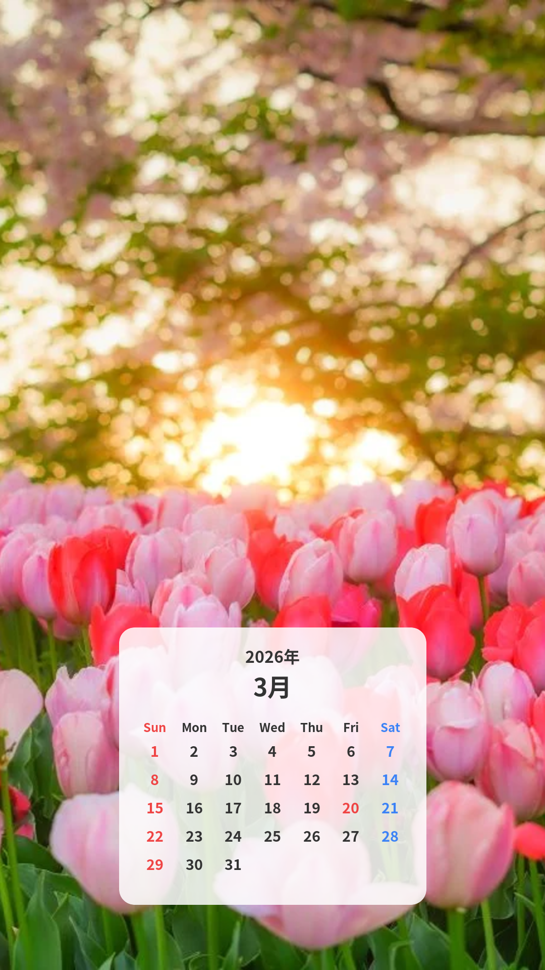 春色のチューリップ カレンダー壁紙