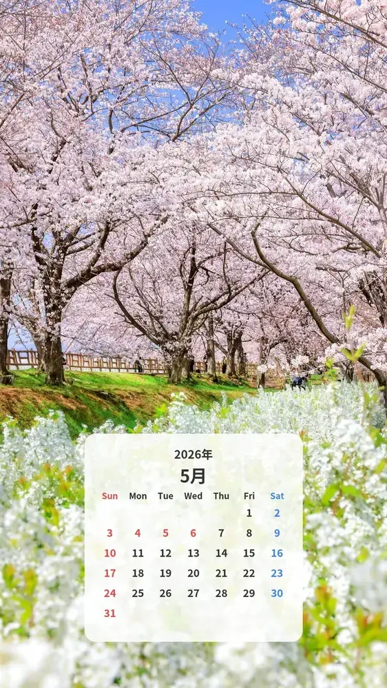 桜並木と雪柳の春景色のカレンダー壁紙