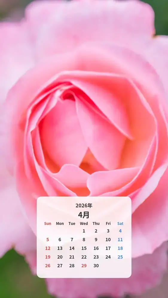 薔薇の可憐な花びら カレンダー壁紙