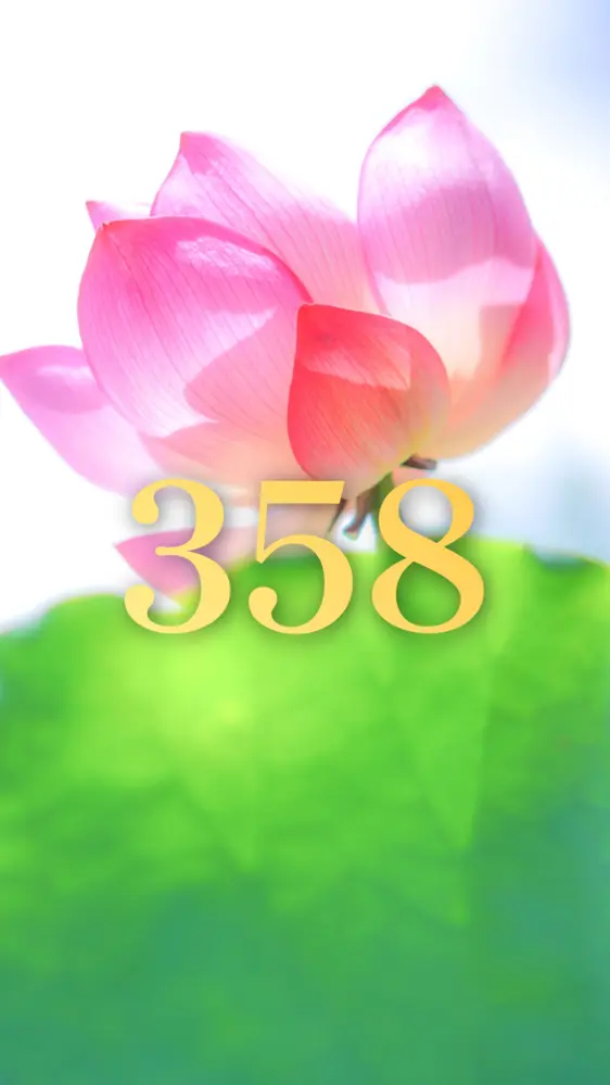 神々しい蓮の花の開運数字壁紙
