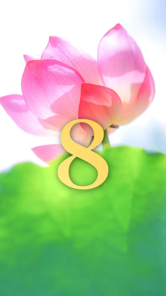 神々しい蓮の花の開運数字壁紙