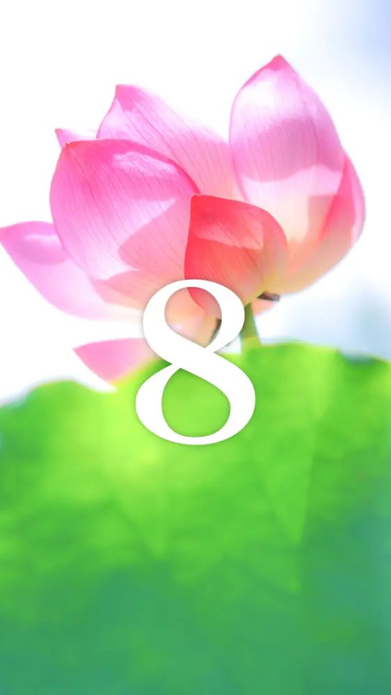 神々しい蓮の花 開運壁紙