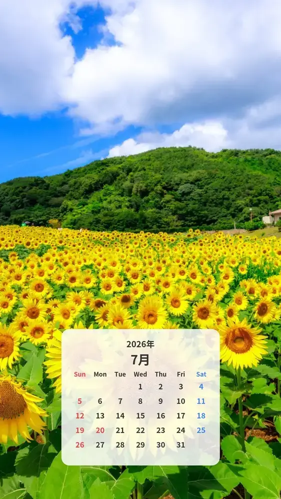 夏空とひまわり カレンダー壁紙