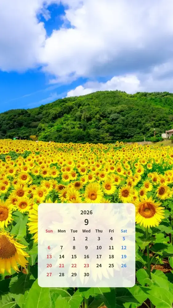 夏空とひまわりのカレンダー壁紙