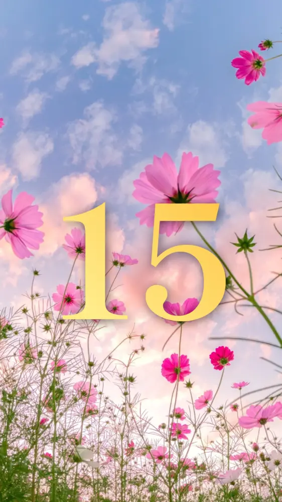 夕暮れコスモス 開運壁紙