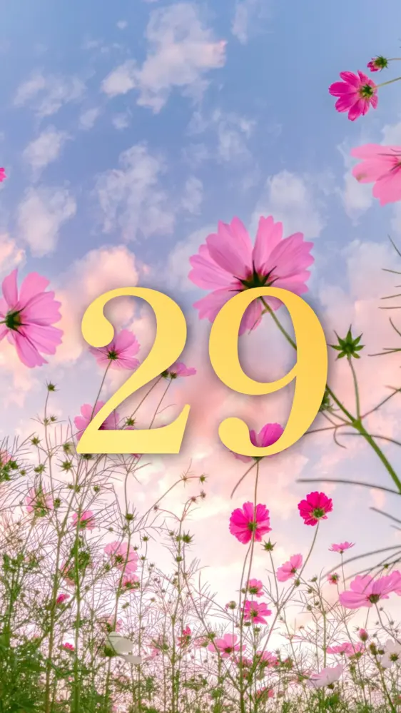 夕暮れコスモス 開運壁紙