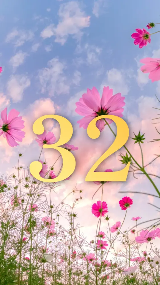 夕暮れコスモスの開運数字壁紙