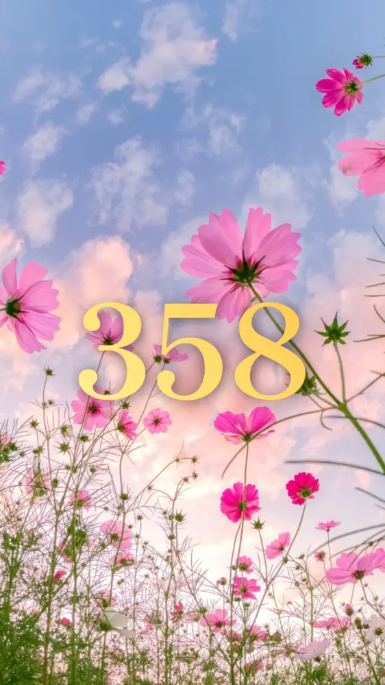 夕暮れコスモス 開運壁紙