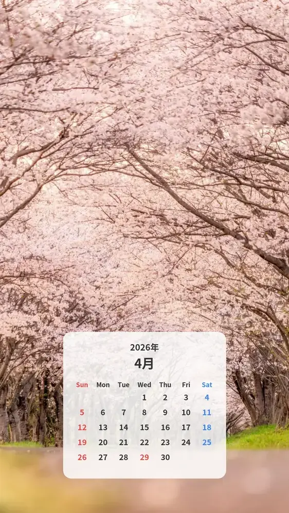 夕暮れの桜並木 カレンダー壁紙