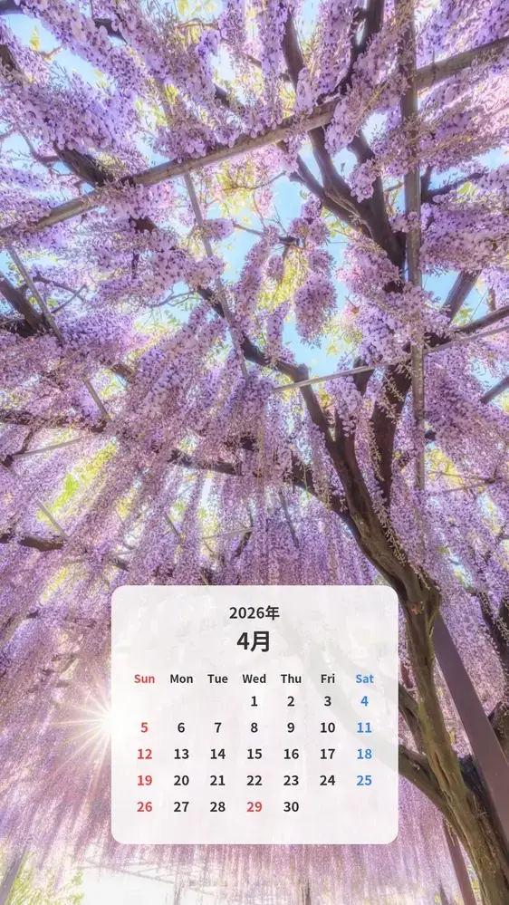 青空と朝日が見える藤のシャンデリア カレンダー壁紙