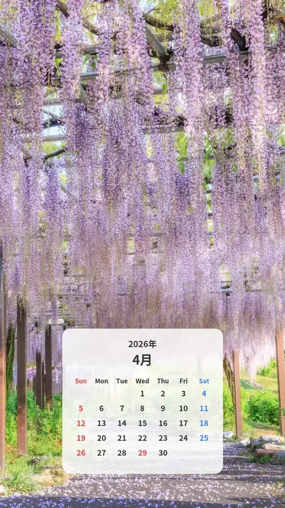 藤の絨毯が続く藤トンネル カレンダー壁紙