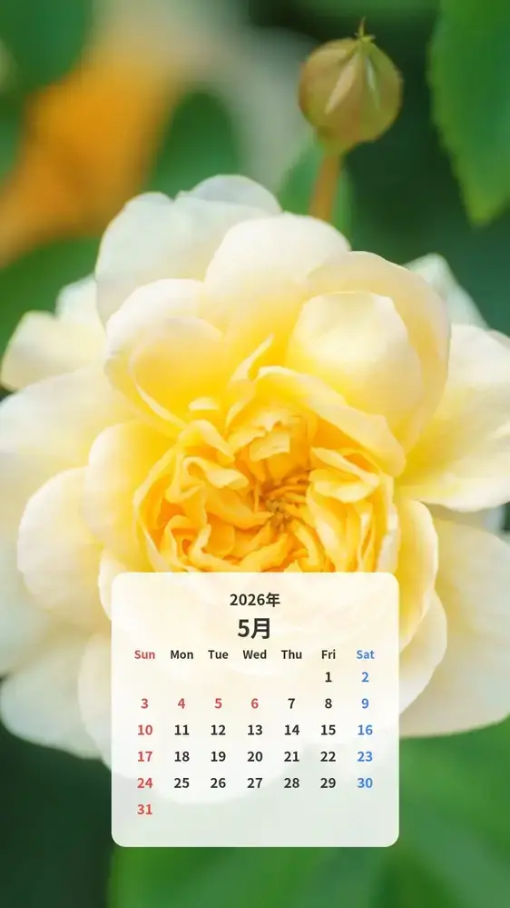 優しい黄色の薔薇のカレンダー壁紙