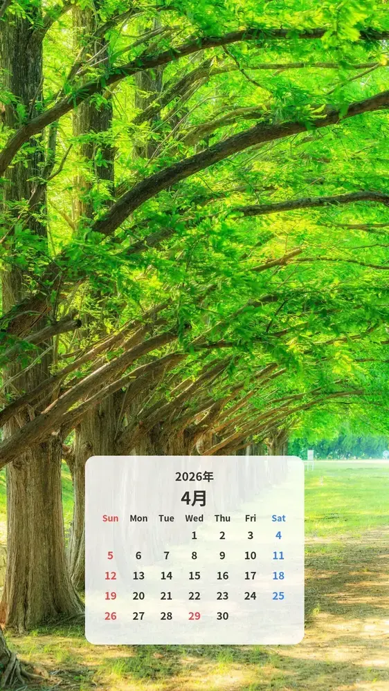 新緑に輝くメタセコイア並木 カレンダー壁紙