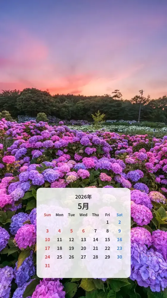 夕暮れの紫陽花の海 カレンダー壁紙