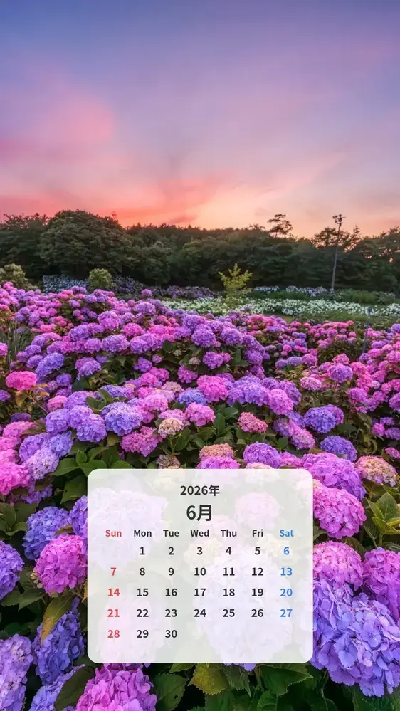 夕暮れの紫陽花の海のカレンダー壁紙
