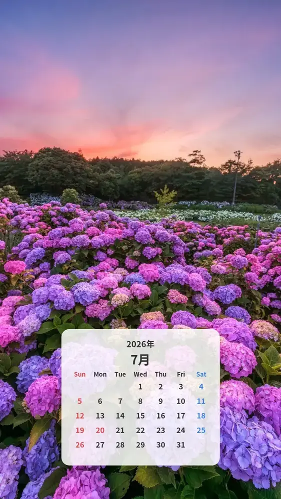 夕暮れの紫陽花の海のカレンダー壁紙