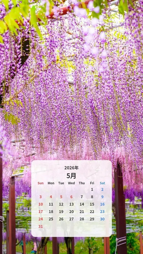 藤のグラデーションのカレンダー壁紙