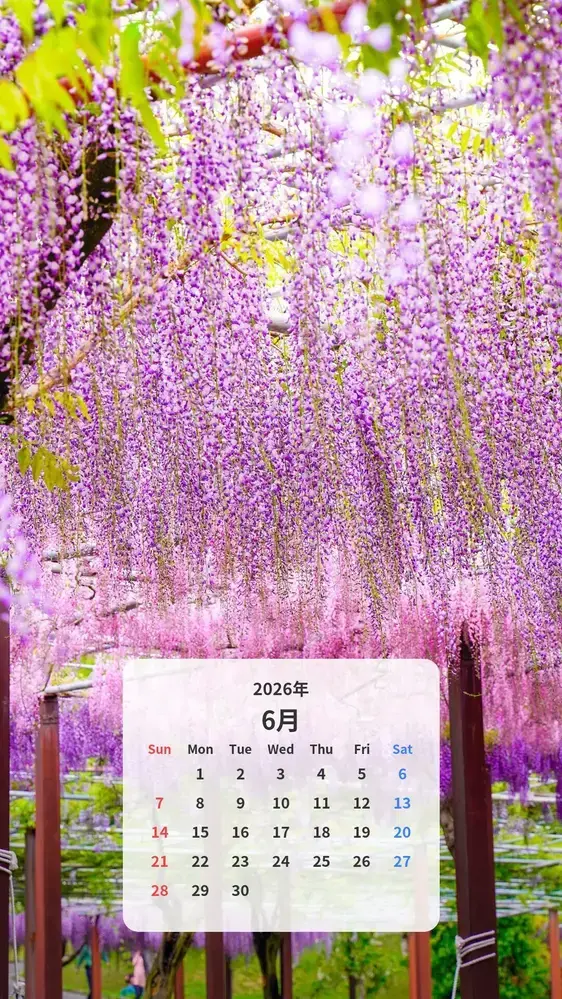 藤のグラデーションのカレンダー壁紙
