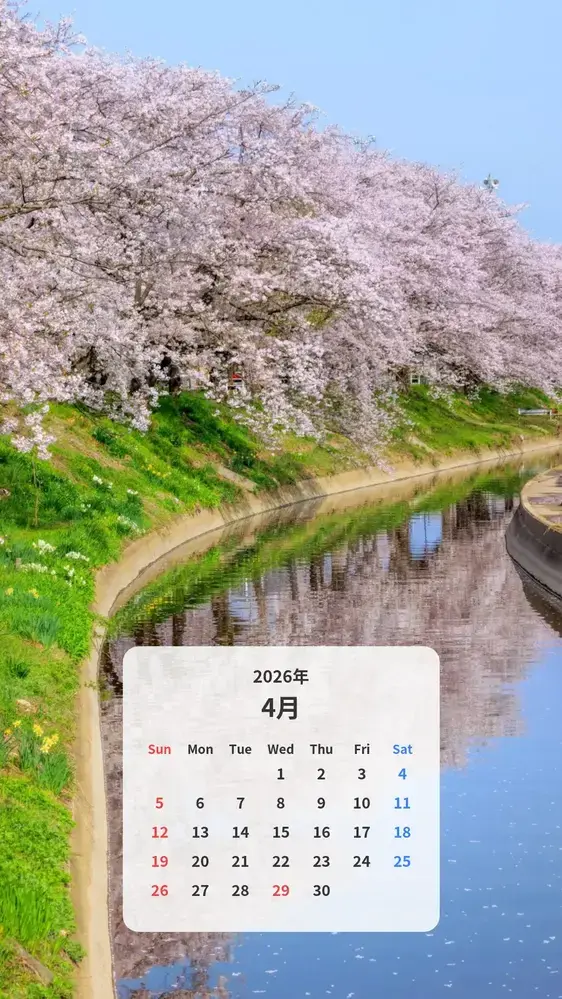 桜並木のリフレクション カレンダー壁紙