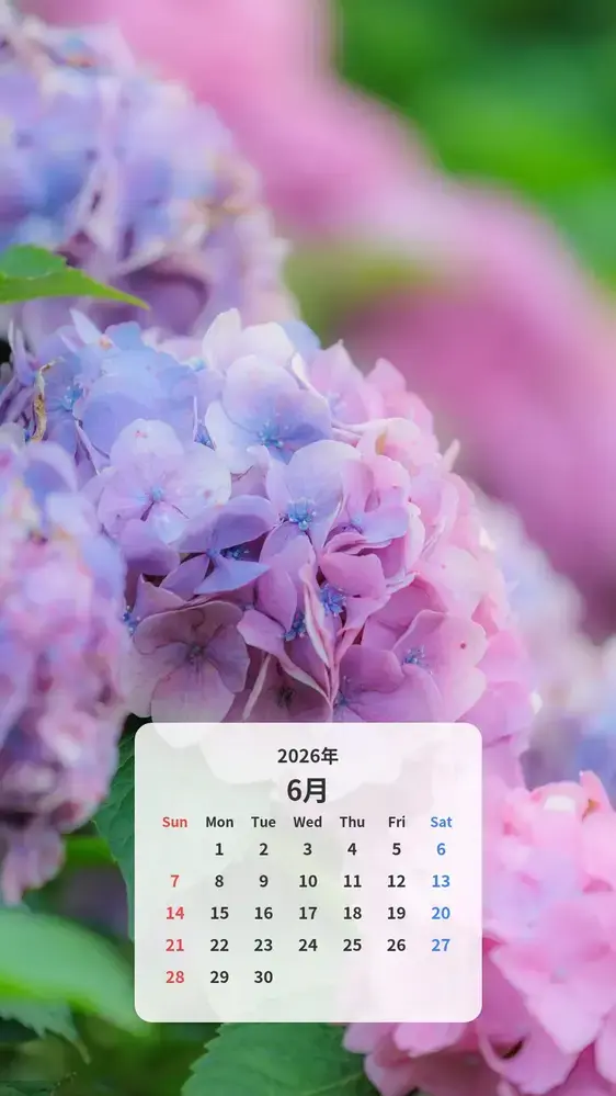 シャビーシックな紫色の紫陽花のカレンダー壁紙