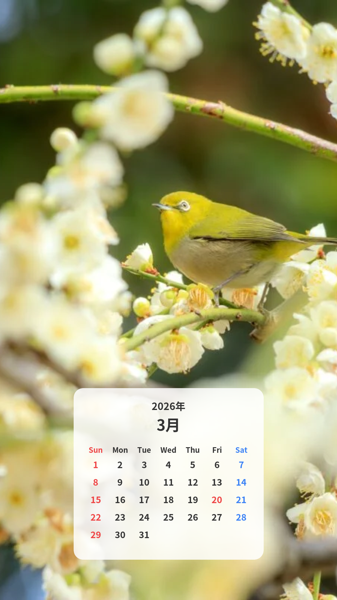 白梅とメジロ カレンダー壁紙