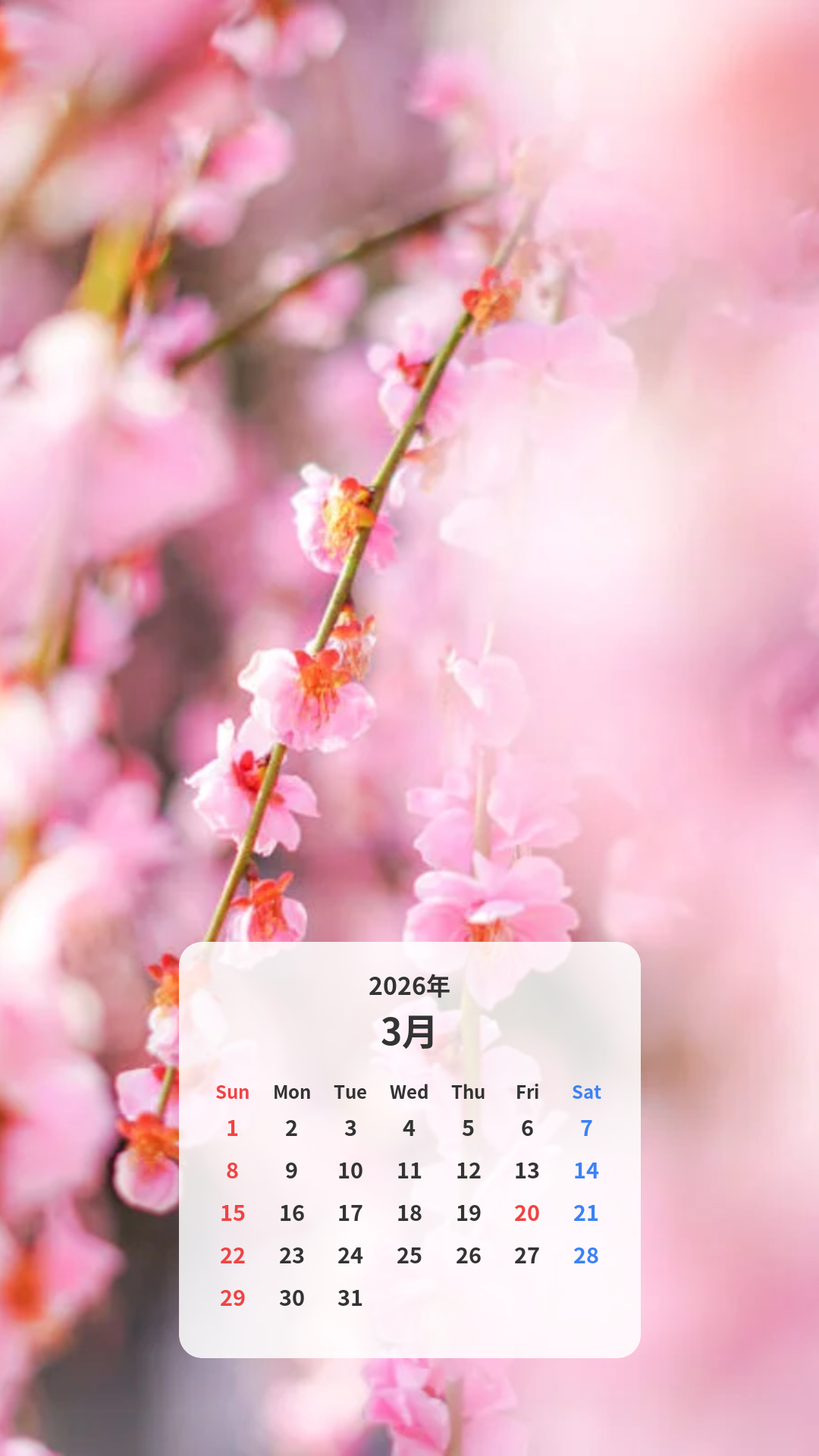 シャンデリアのように輝く枝垂れ梅 カレンダー壁紙