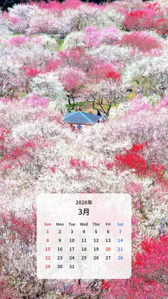 まるで桃源郷の梅林園