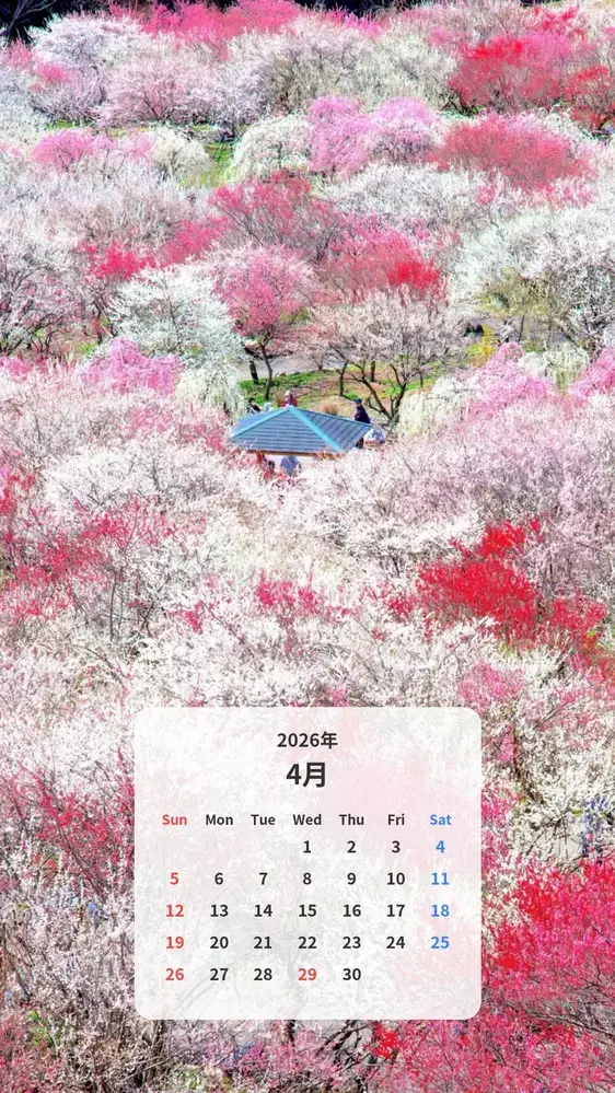 まるで桃源郷の梅林園