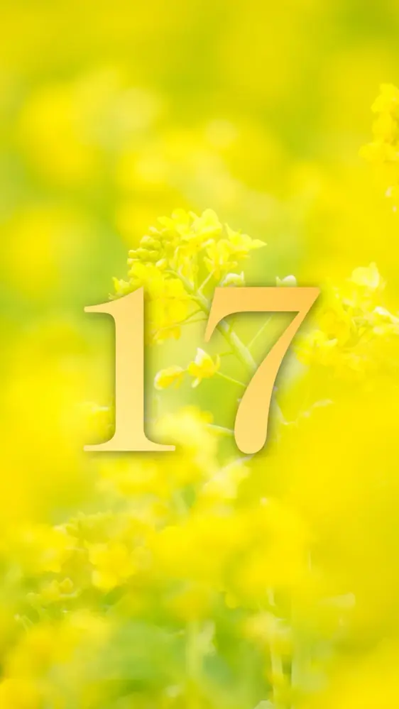 黄金に輝く菜の花 開運壁紙