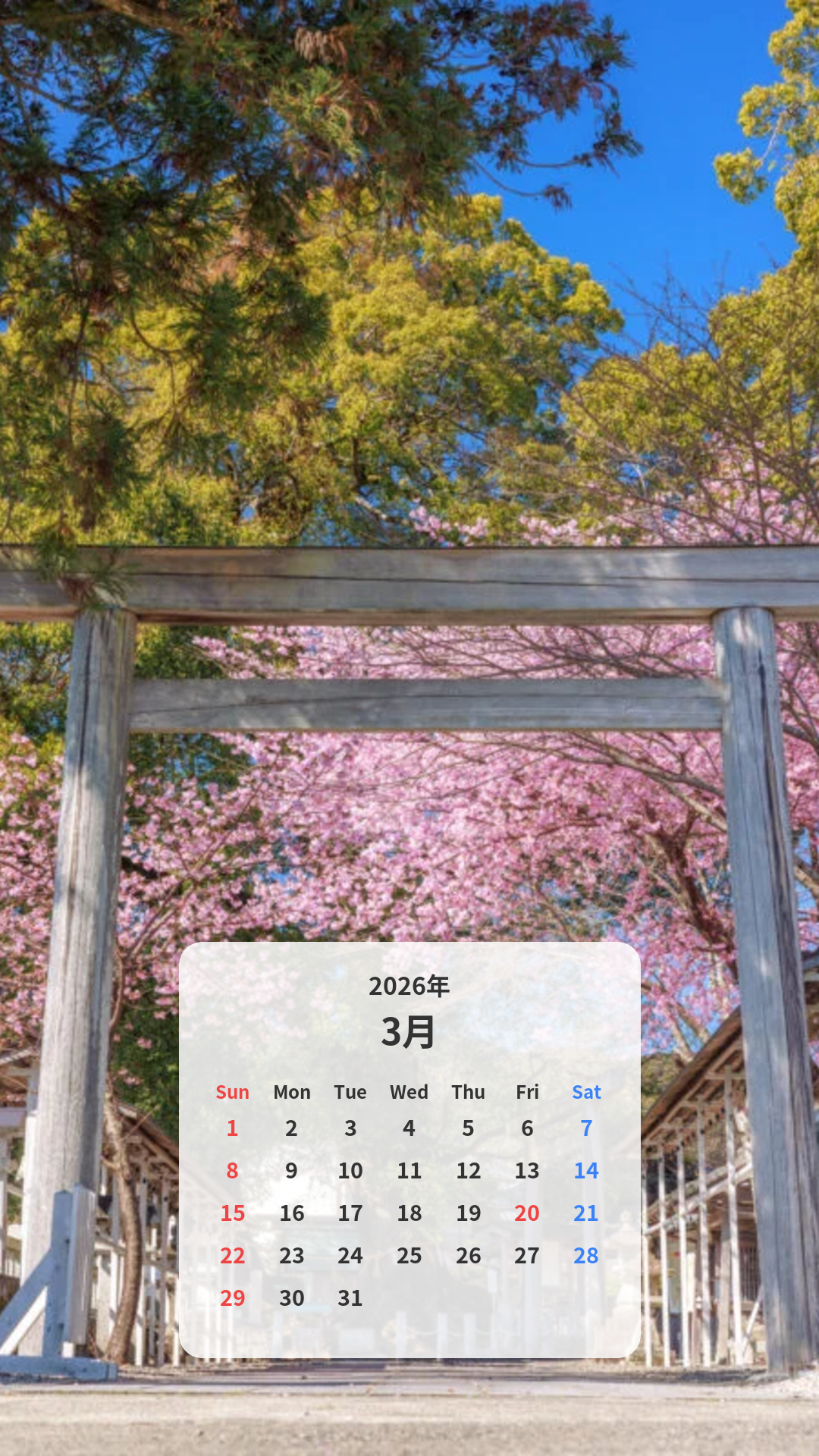 河津桜の参道と開運の楠木 カレンダー壁紙