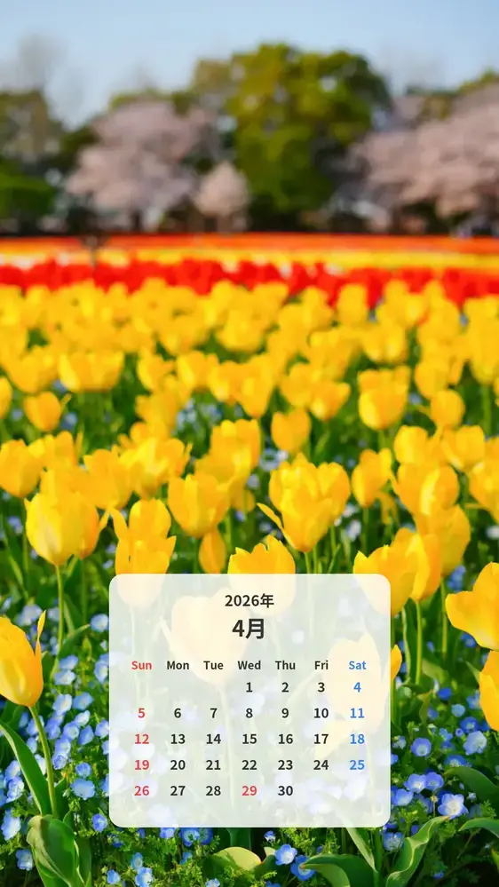 黄色いチューリップとネモフィラの共演 カレンダー壁紙