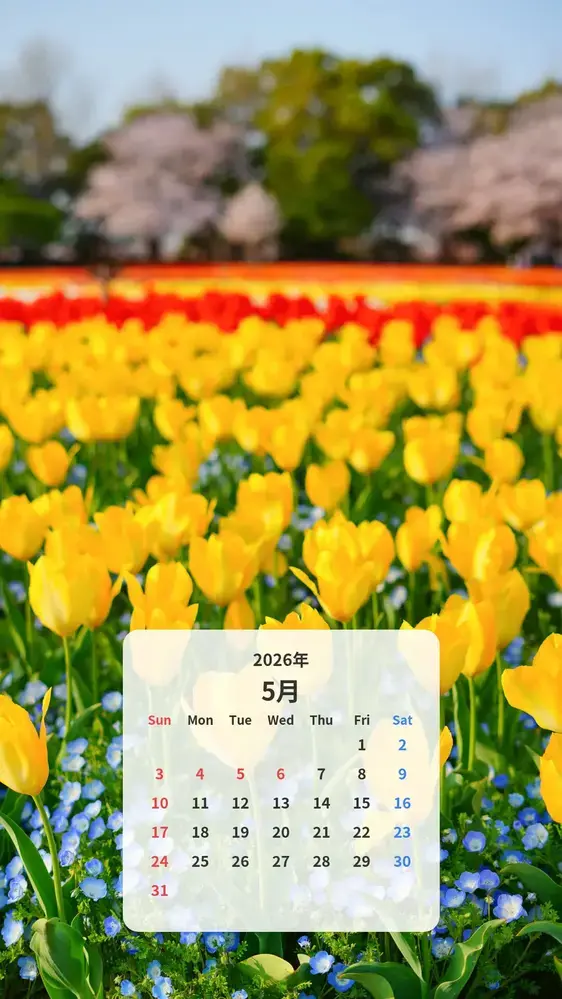 黄色いチューリップとネモフィラの共演のカレンダー壁紙